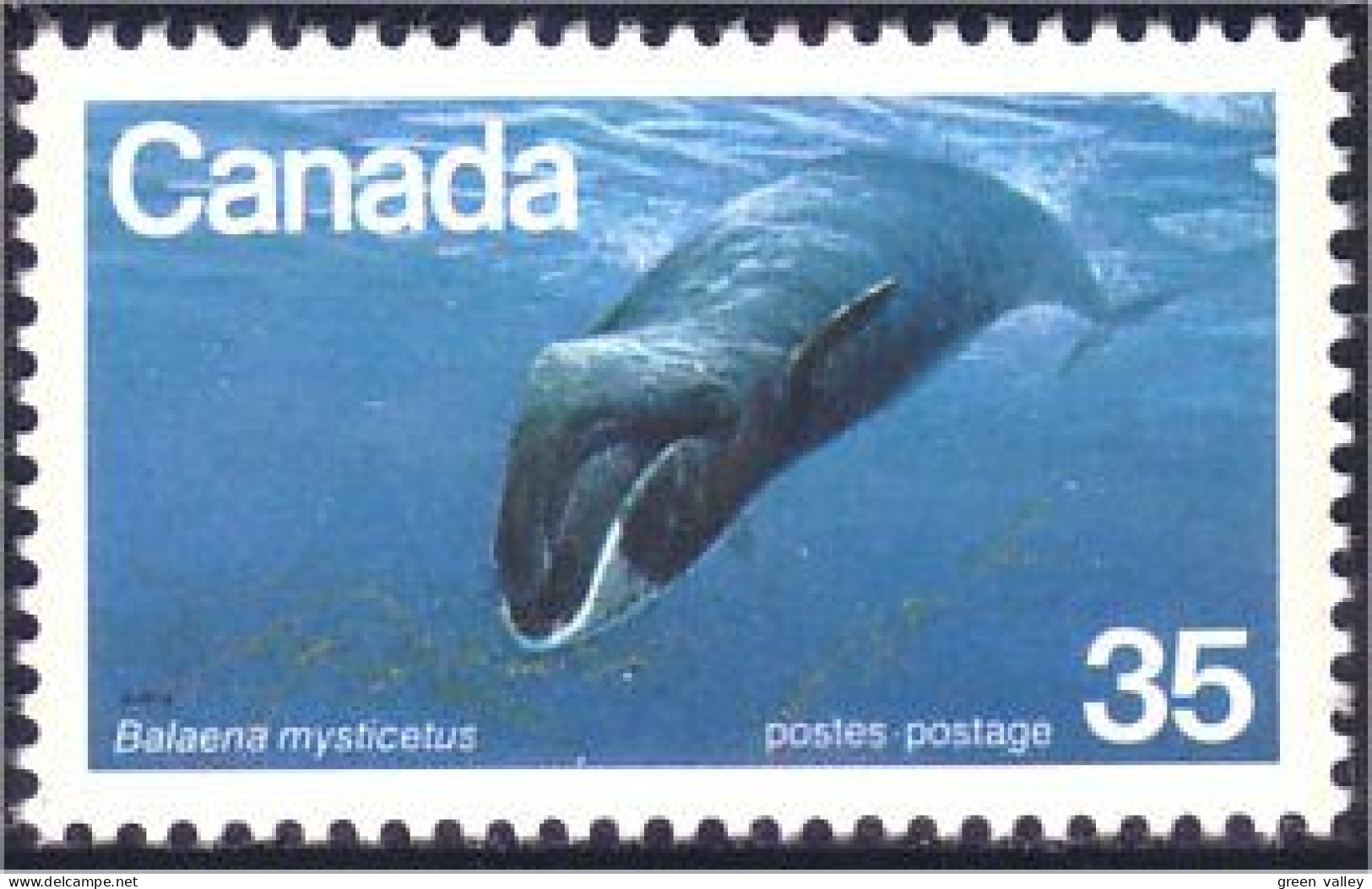 (C08-14b) Canada Baleine Franche Bowhead Whale MNH ** Neuf SC - Sonstige & Ohne Zuordnung