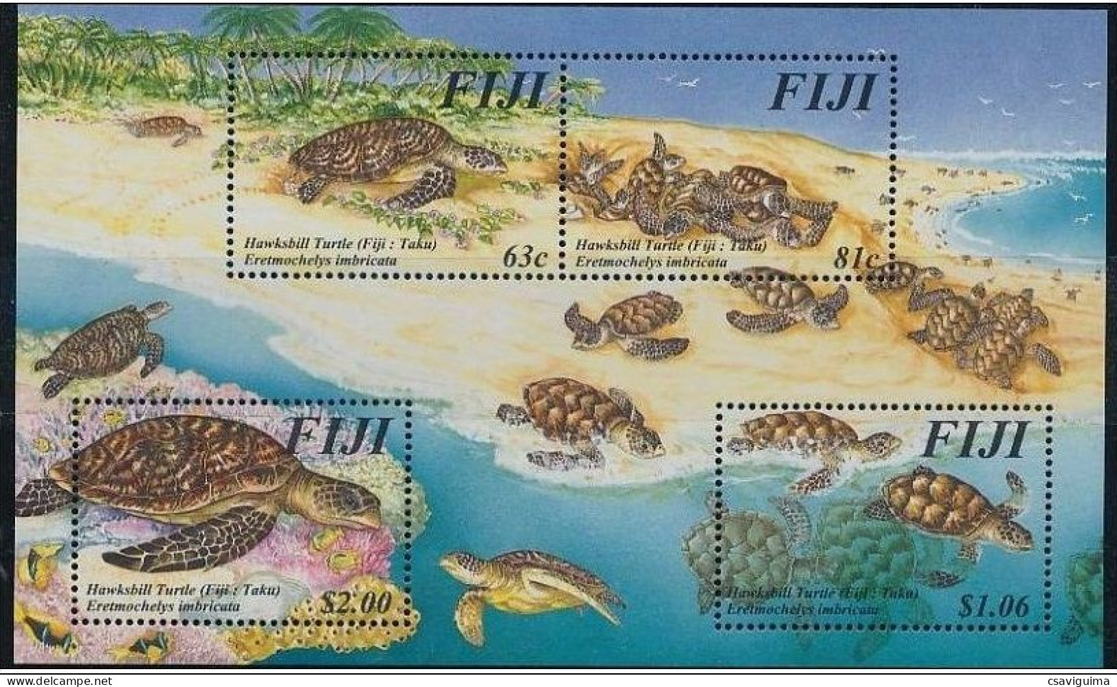 Fiji (Fidji) - 1997 - Turtle - Yv Bf 24 - Tortues