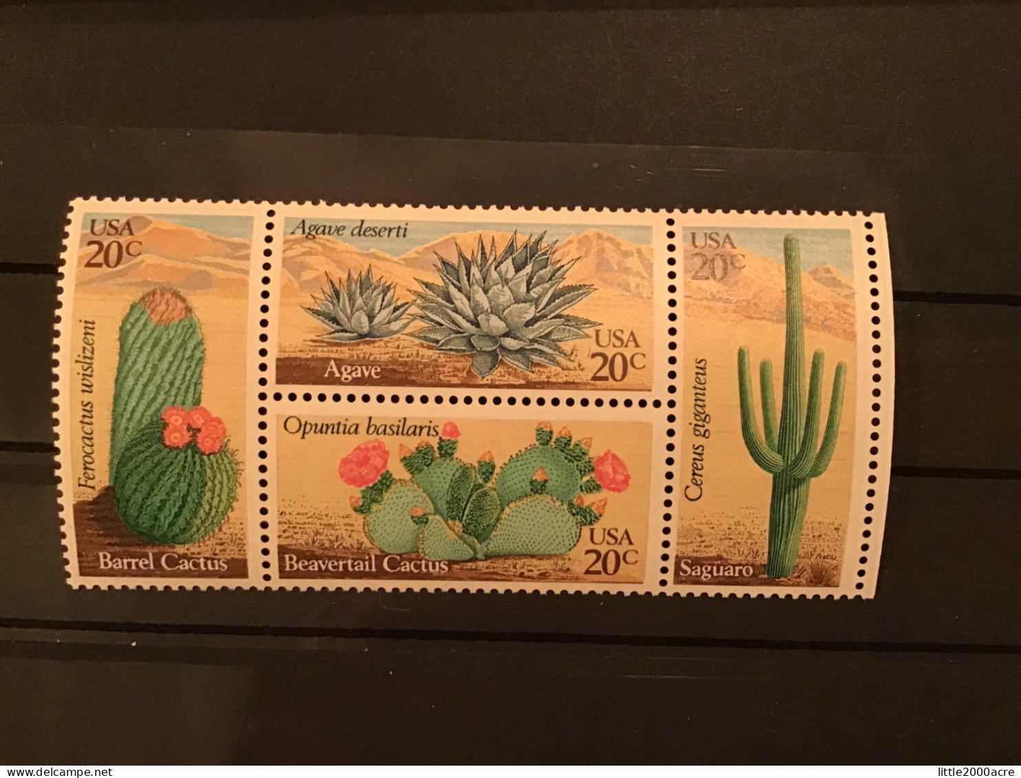 United States 1981 Desert Plants MNH SG 1922a Sc 1945a - Unused Stamps