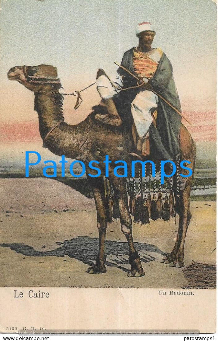 227404 AFRICA EGYPT CAIRO COSTUMES NATIVE BEDOUIN AND CAMEL POSTAL POSTCARD - Other & Unclassified