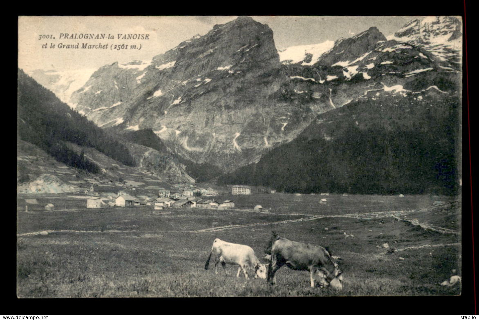 73 - PRALOGNAN-LA-VANOISE - LE GRAND MARCHET - VACHES - Pralognan-la-Vanoise