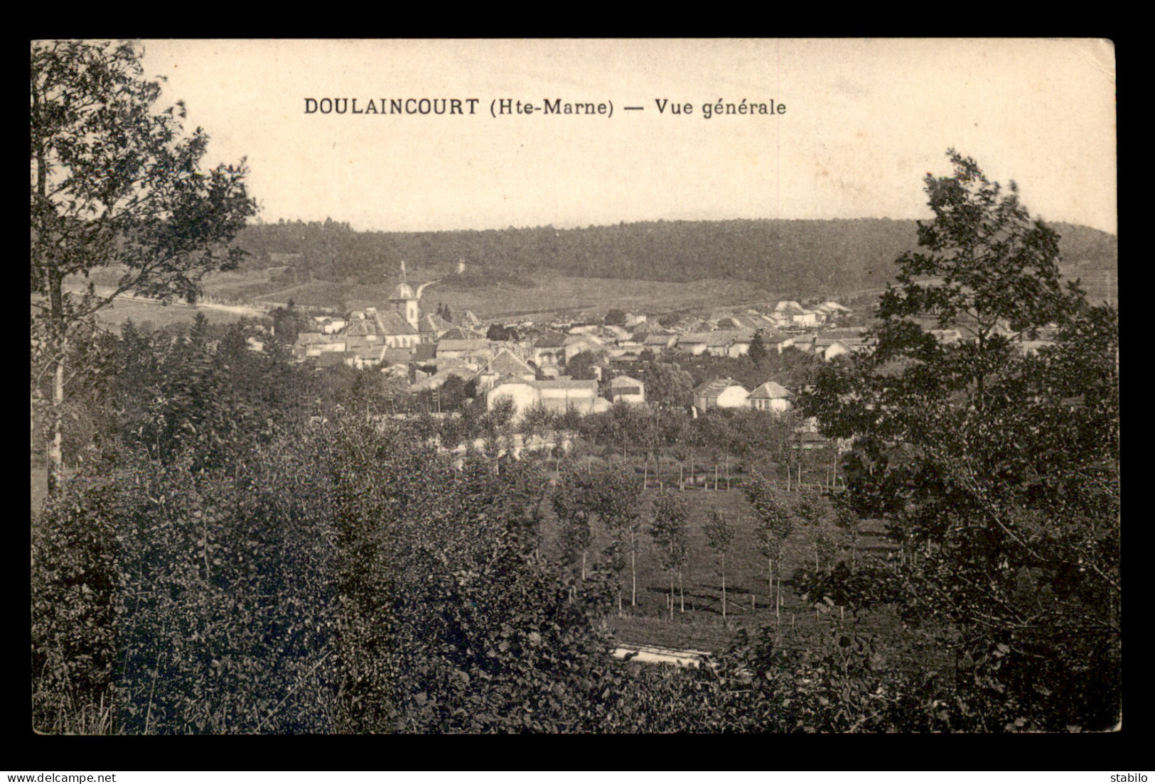 52 - DOULAINCOURT - VUE GENERALE - Doulaincourt