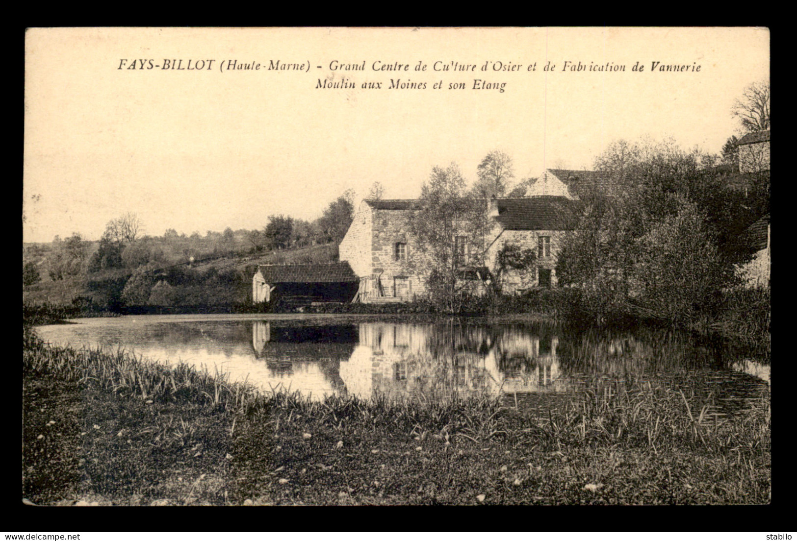 52 - FAYS-BILLOT - MOULIN A EAU AUX MOINES ET SON ETANG - Fayl-Billot