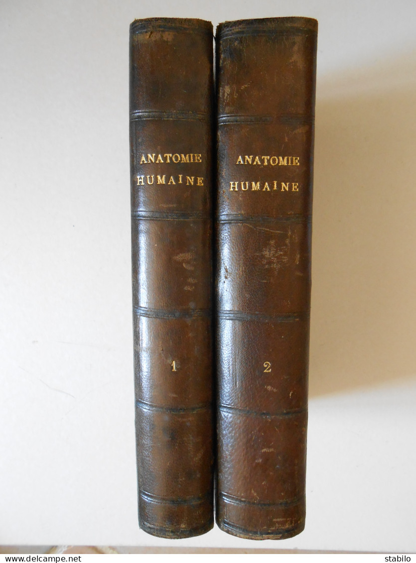 TRAITE D'ANATOMIE HUMAINE PAR G. GEGENBAUR EN 2 VOLUMES - 626 FIGURES - 1889 - Santé