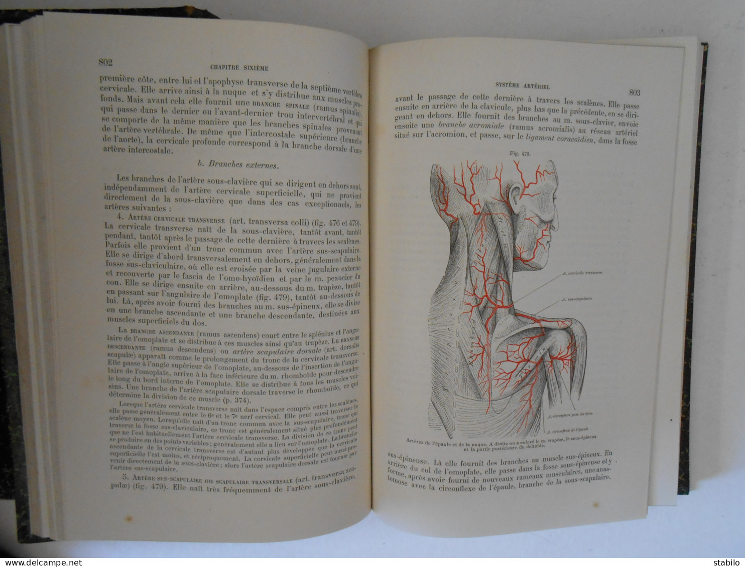 TRAITE D'ANATOMIE HUMAINE PAR G. GEGENBAUR EN 2 VOLUMES - 626 FIGURES - 1889 - Santé