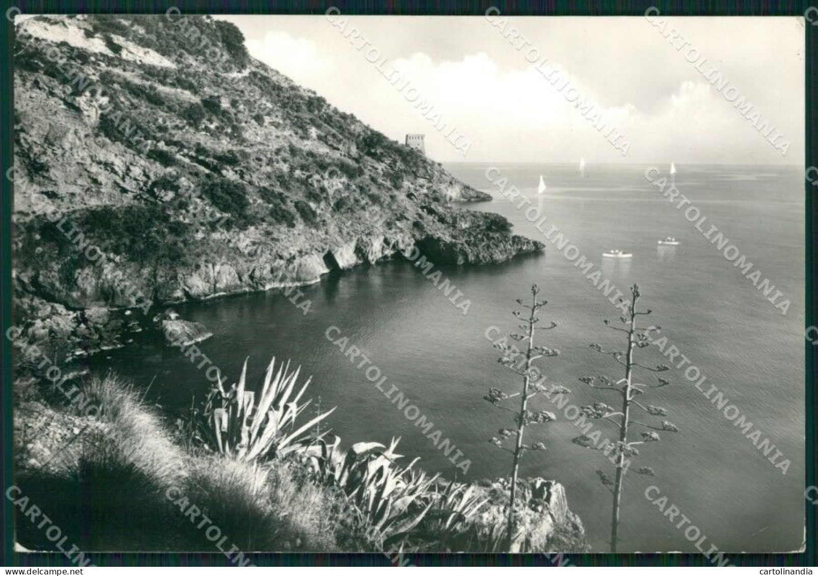 Salerno Sapri PIEGHINA Foto FG Cartolina KB4242 - Salerno