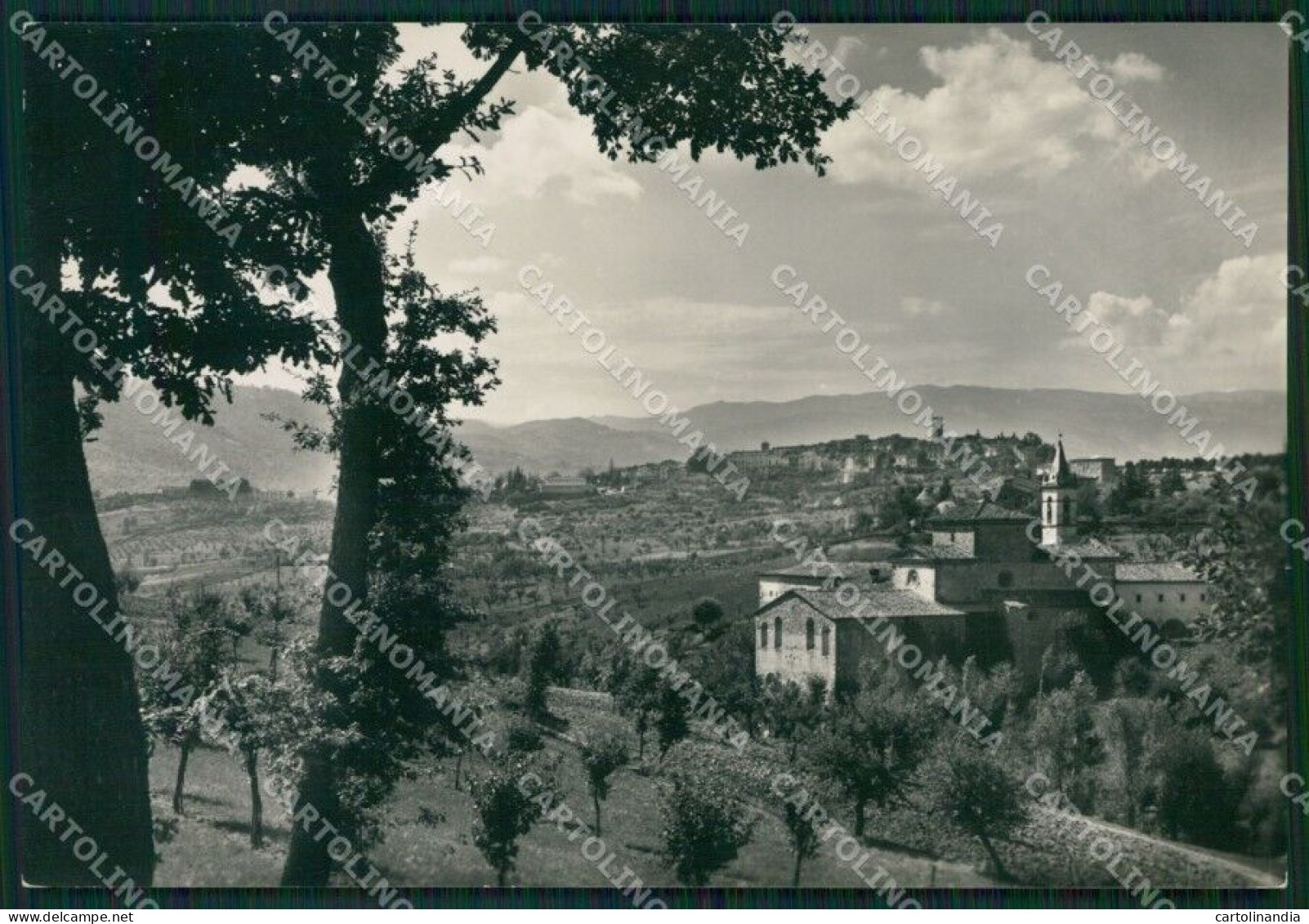 Arezzo Bibbiena Foto FG Cartolina ZKM8289 - Arezzo