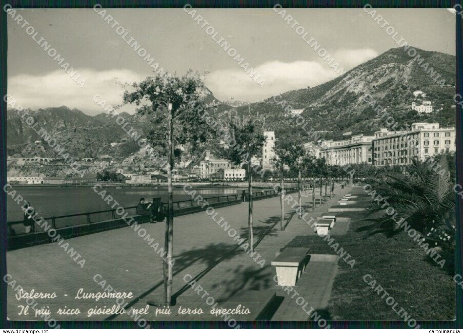 Salerno Città Foto FG Cartolina KB4250 - Salerno