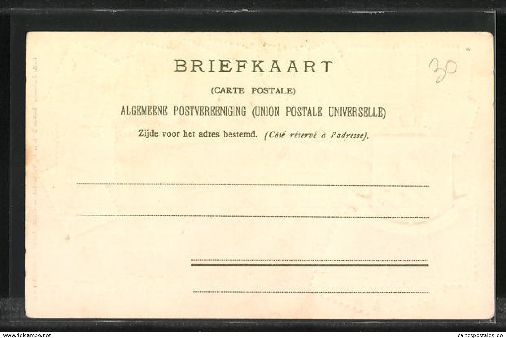 Präge-Lithographie Briefmarken, Niederlande, Wappentier Löwe  - Timbres (représentations)