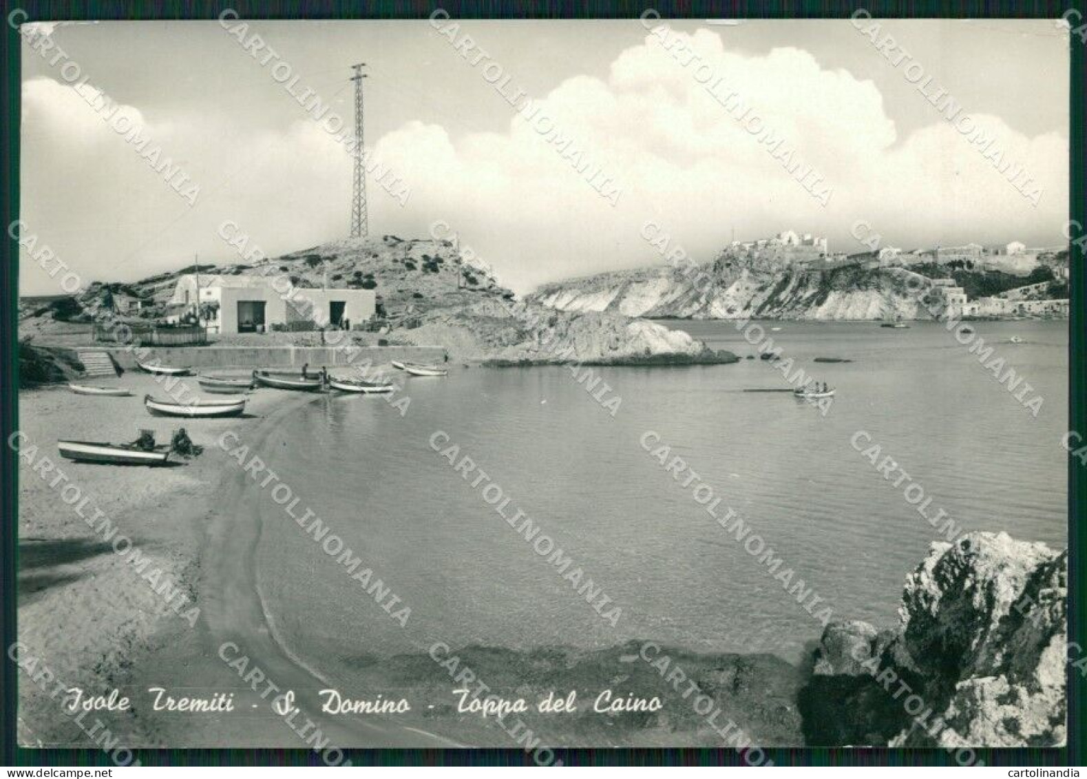 Foggia Isole Tremiti San Domino Foto FG Cartolina ZK6762 - Foggia