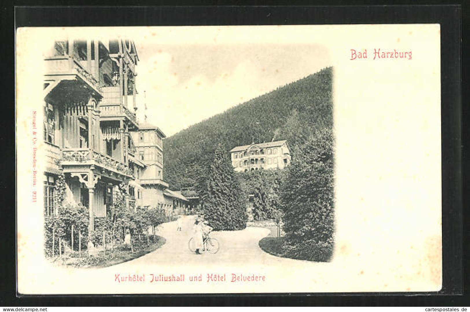 AK Bad Harzburg, Kurhotel Juliushall Und Hotel Belvedere  - Bad Harzburg