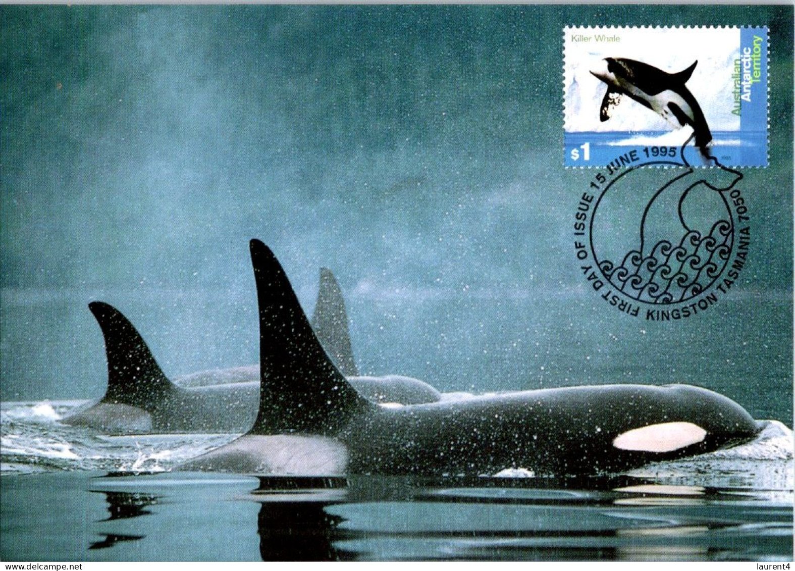 21-4-2024 (2 Z 36) Australia Maxicard - Set Of 4+1 - AAT Whales (if Not Sold Will NOT Be Re-listed) - Maximumkaarten