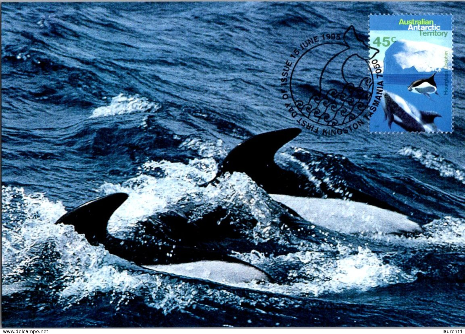 21-4-2024 (2 Z 36) Australia Maxicard - set of 4+1 - AAT Whales (if not sold will NOT be re-listed)