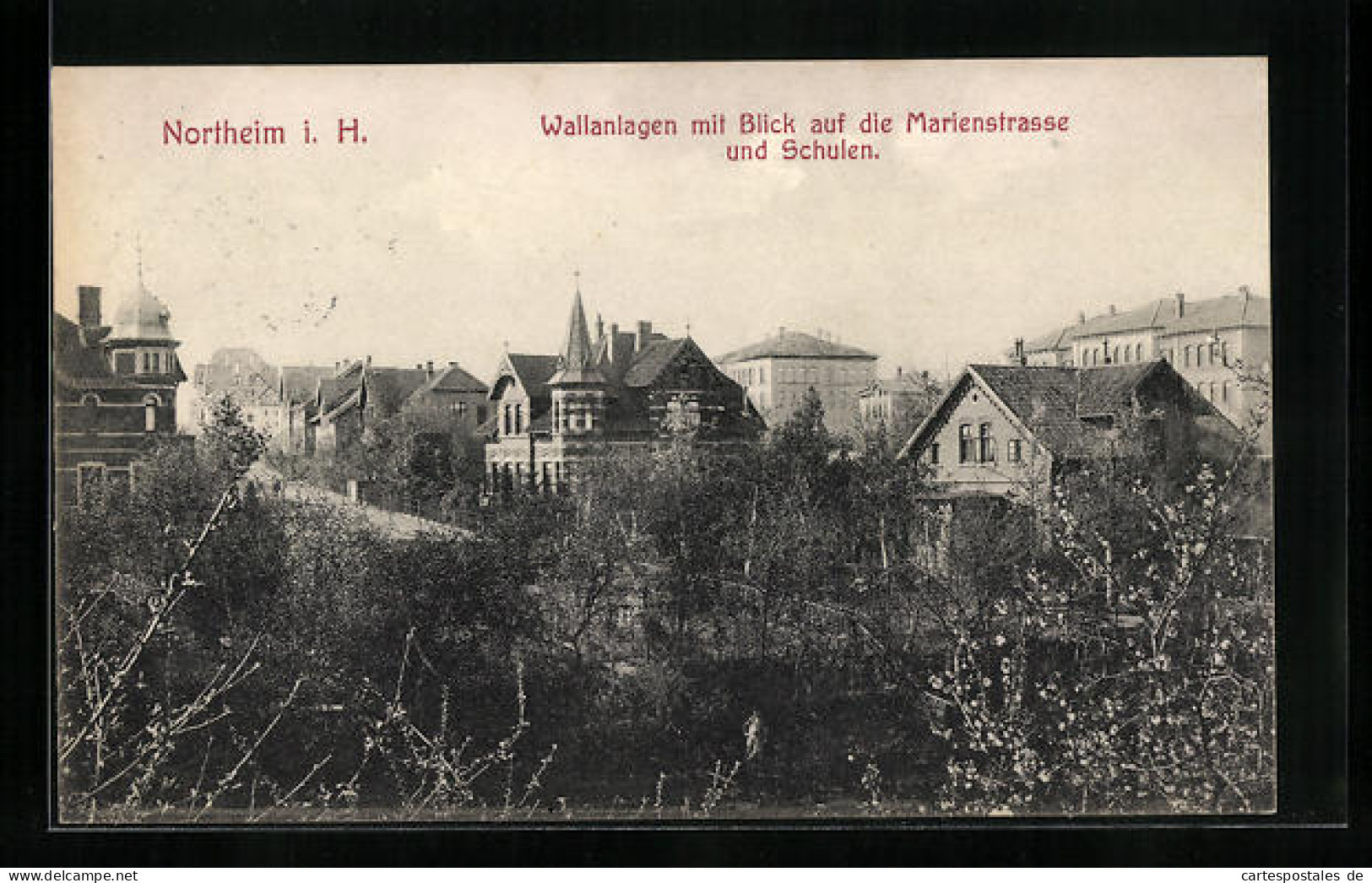 AK Northeim I. H., Wallanlagen Mit Blick Auf Die Marienstrasse Und Schulen  - Northeim