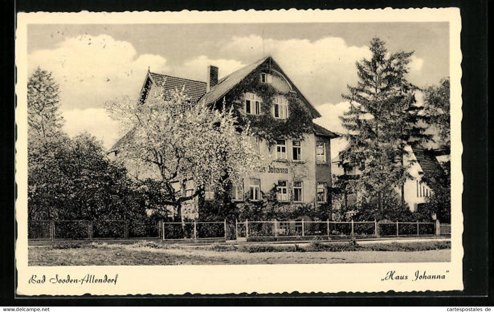 AK Bad Sooden-Allendorf, Hotel Johanna Mit Blühendem Kirschbaum, Bismarckstrasse 6  - Bad Sooden-Allendorf
