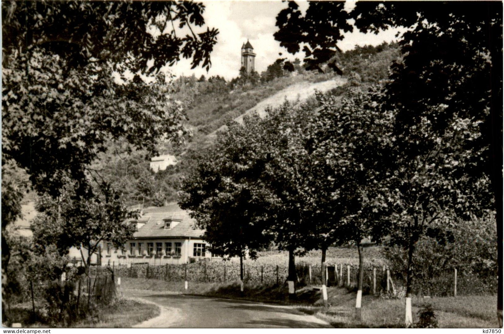 Arnstadt/Thür. - Blick Zur Alteburg - Arnstadt