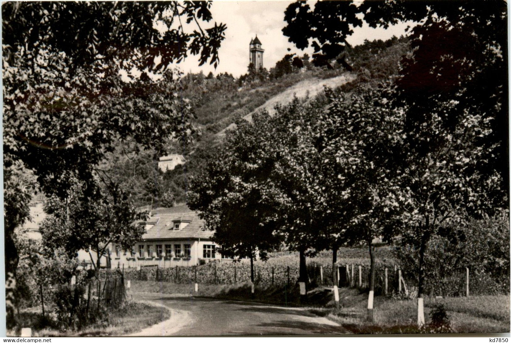 Arnstadt/Thüri. - Blick Zur Alteburg - Arnstadt