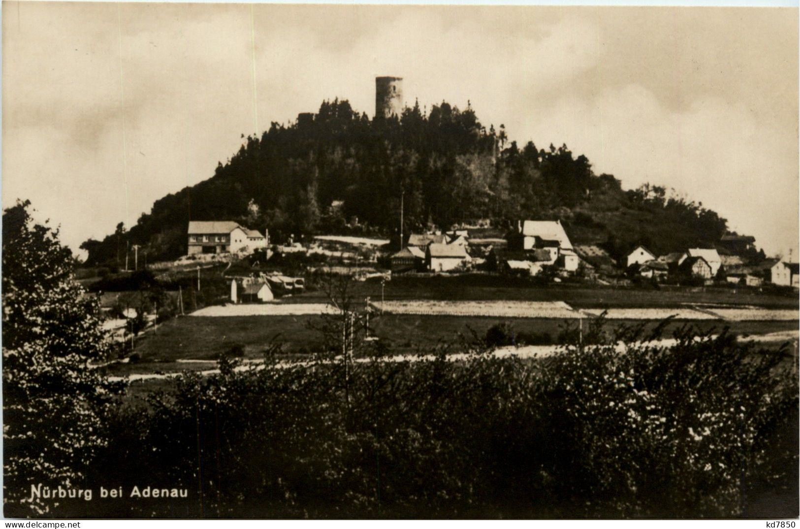 Nürburg Bei Adenau - Bad Neuenahr-Ahrweiler