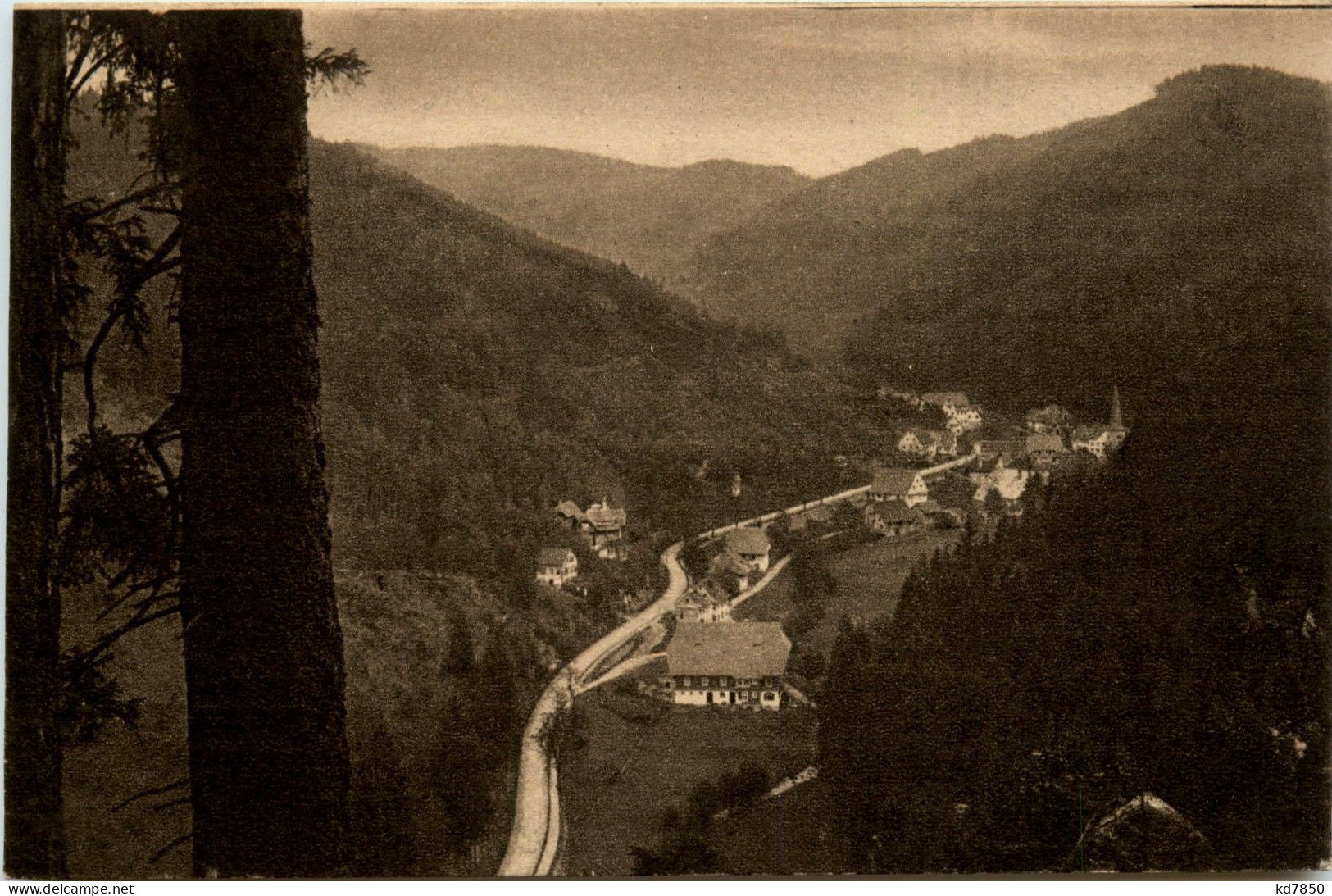 Blick Ins Nussbacher Tal - Triberg