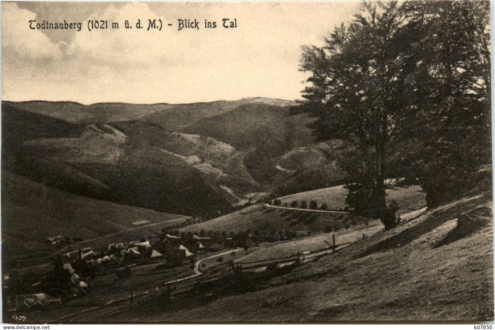 Todtnauberg - Blick Ins Tal - Todtnau