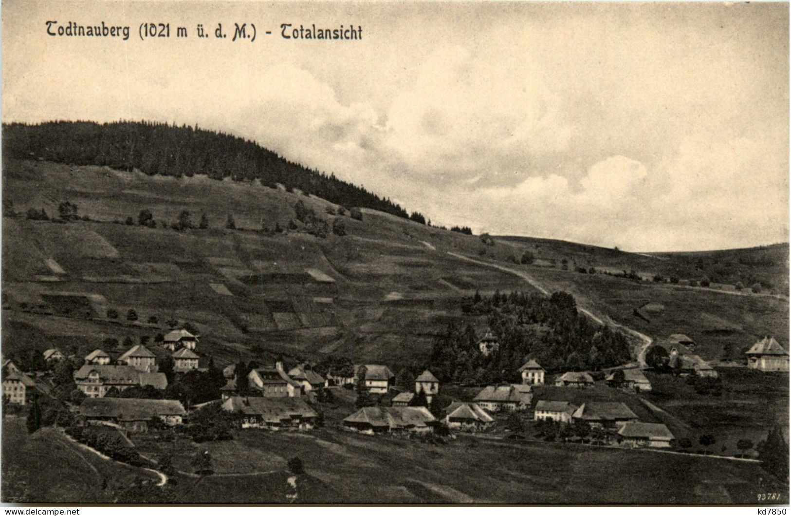 Todtnauberg - Todtnau