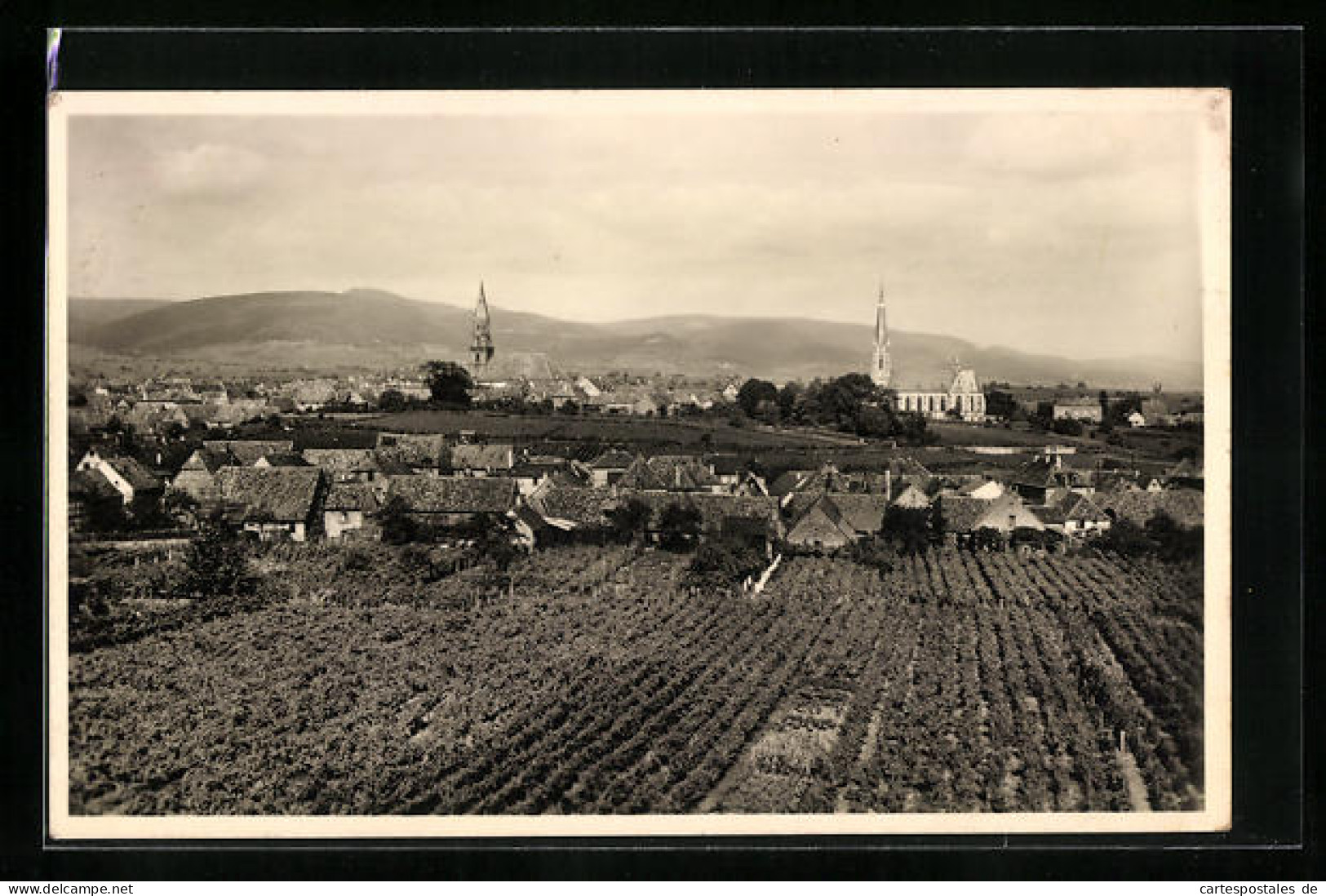 AK Edenkoben A. D. Weinstrasse, Panorama  - Edenkoben