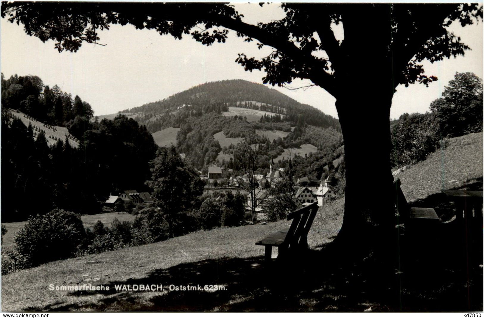 Oststeiermark/ Div.Orte Ung Umgebung - Sommerfrische Waldbach, - Hartberg