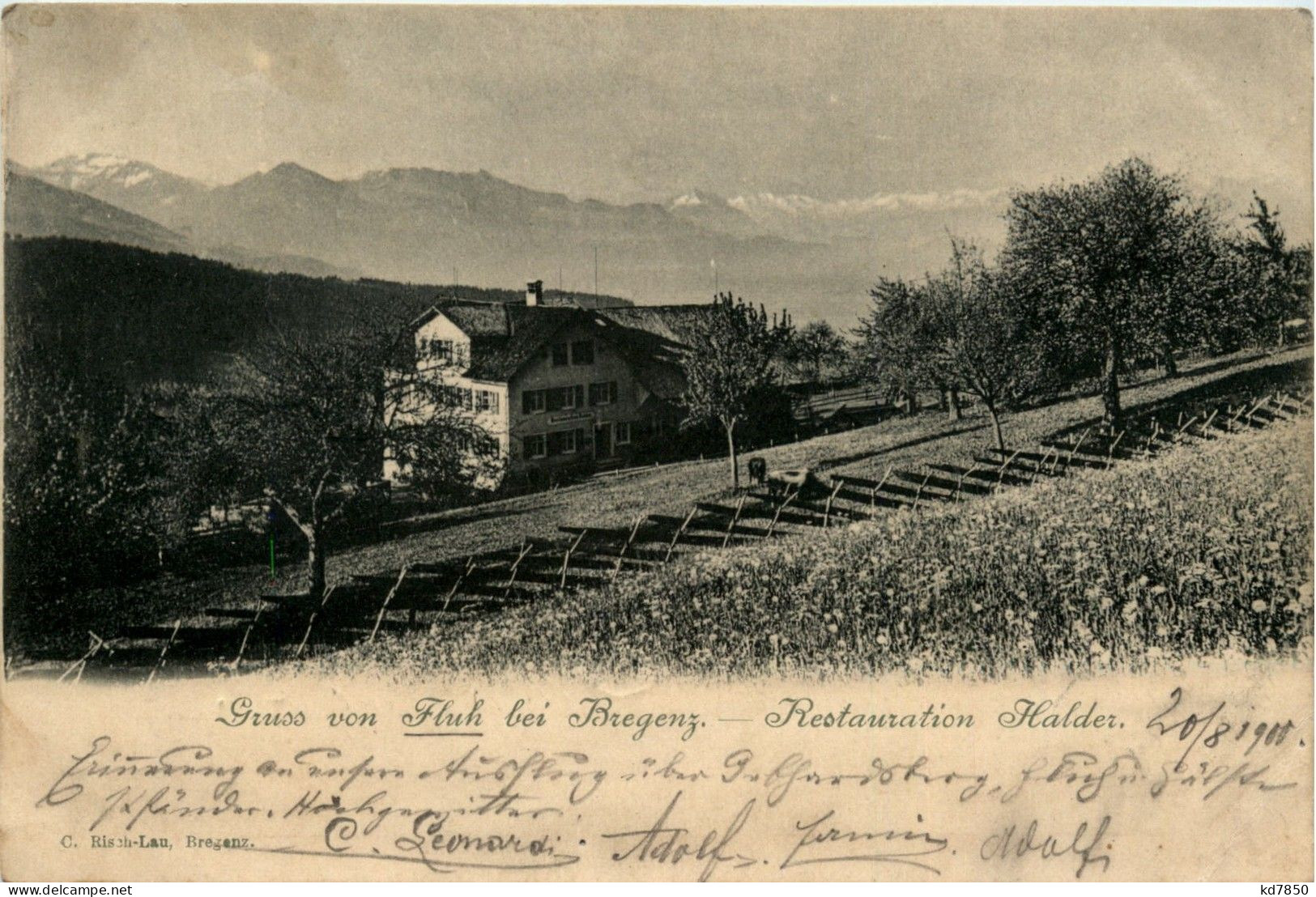 Bregenz/Vorarlberg, Div. Orte Und Umgebung - Fluh Bei Bregenz. Restauration Halder - Bregenz