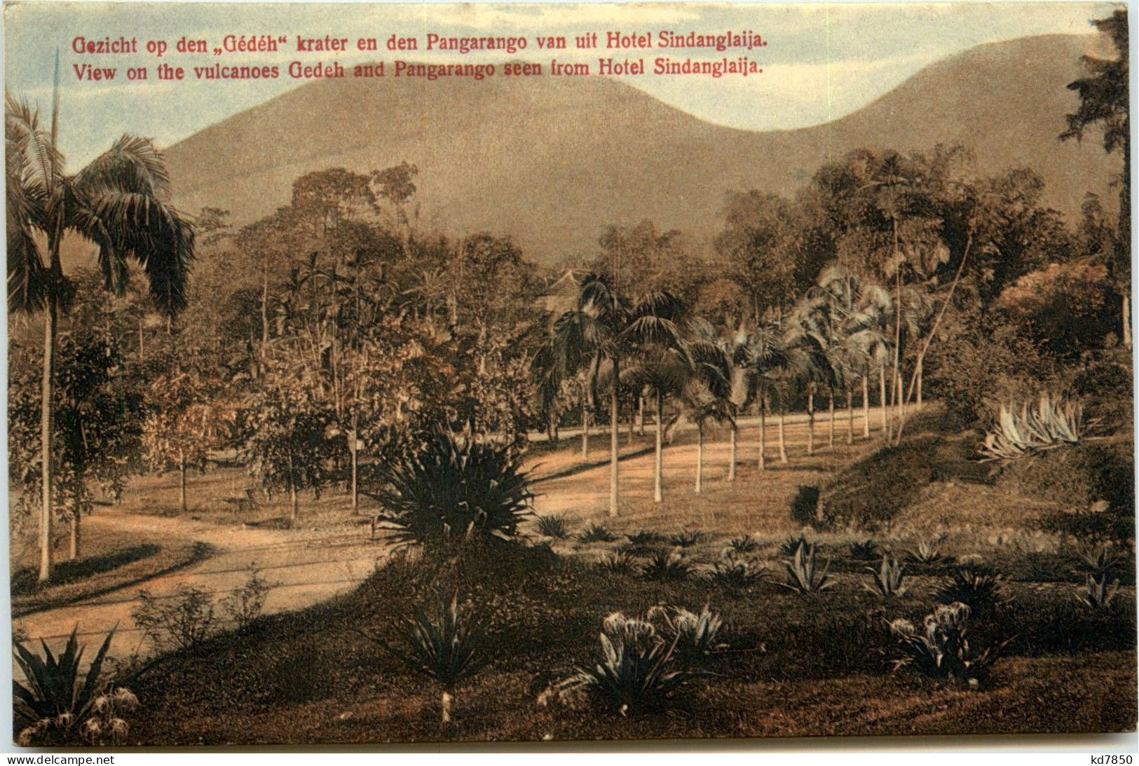 View On The Vulcanoes Gedeh And Pangarango Seen From Hotel Hotel Sindanglaija - Indonesien