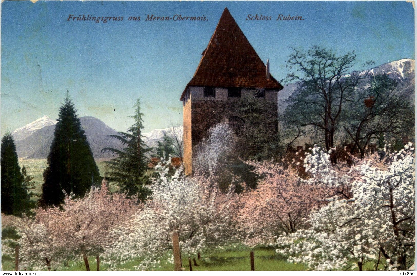 Frühlingsgruss Au Meran Obermais - Schloss Rubein - Merano