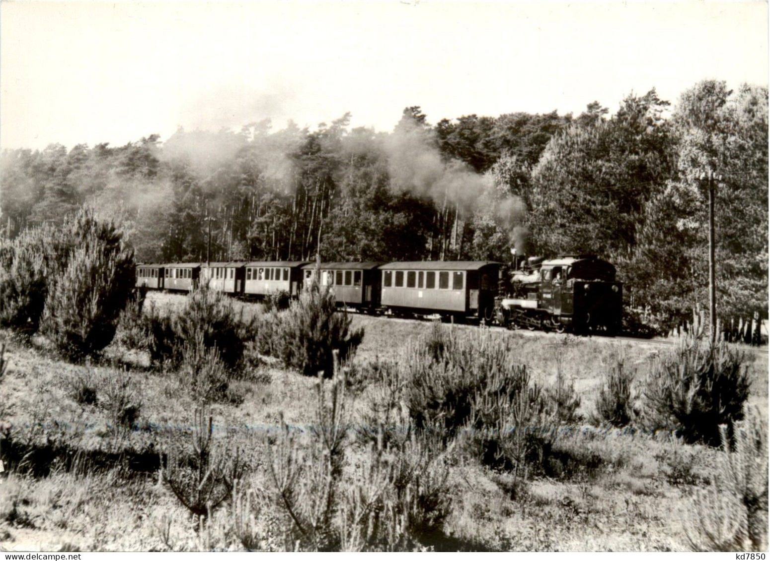 Schmalspurbahn Putbus - Göhren - Goehren