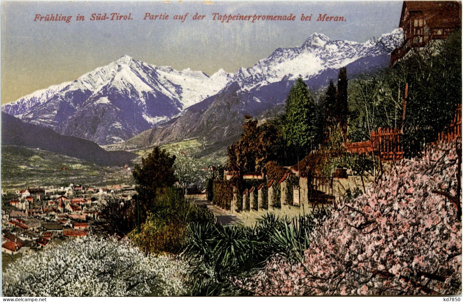 Meran - Partie Auf Der Tappeinerpromenade - Merano