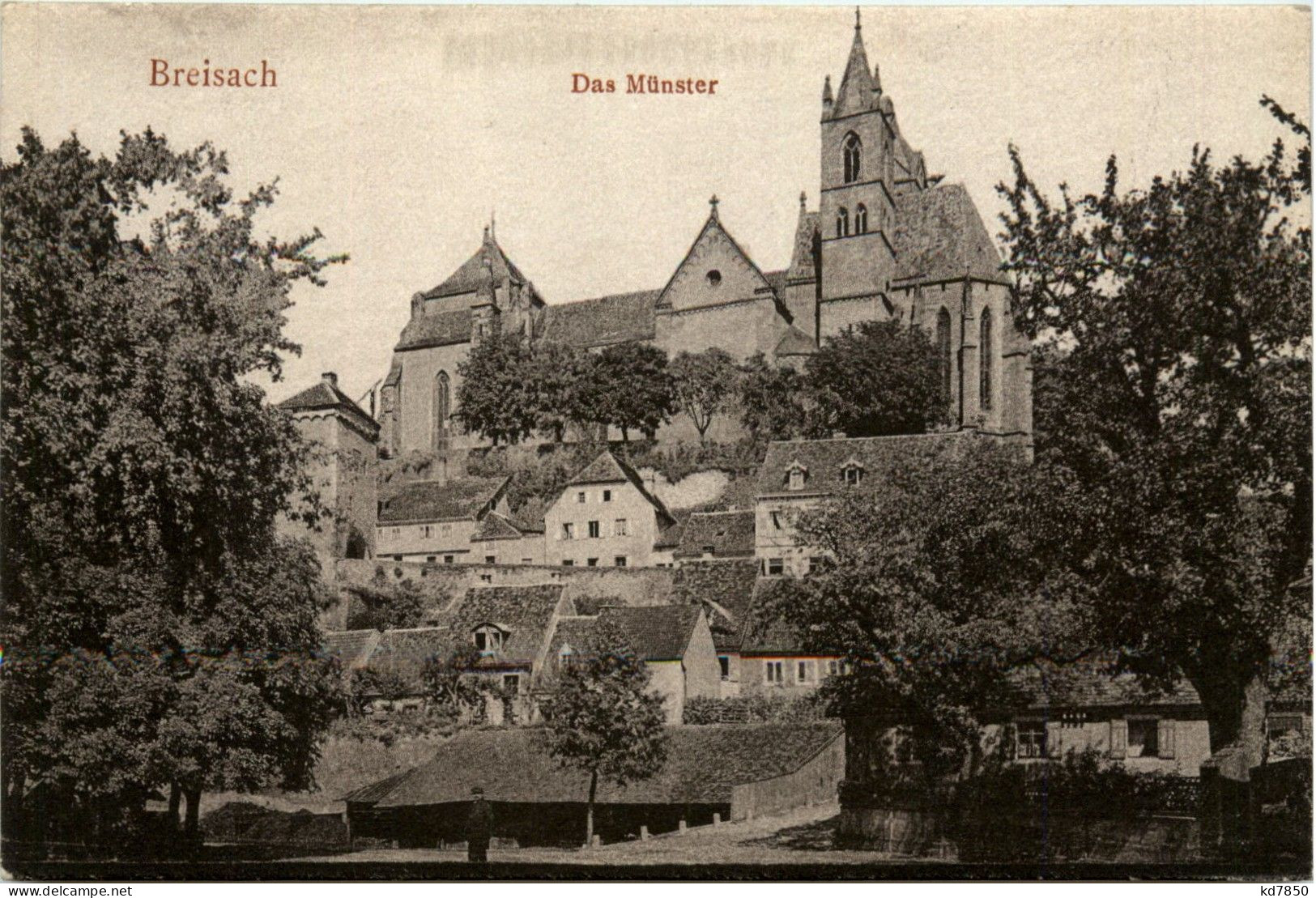 Ba-Wü/ Breisach - Das Münster - Breisach