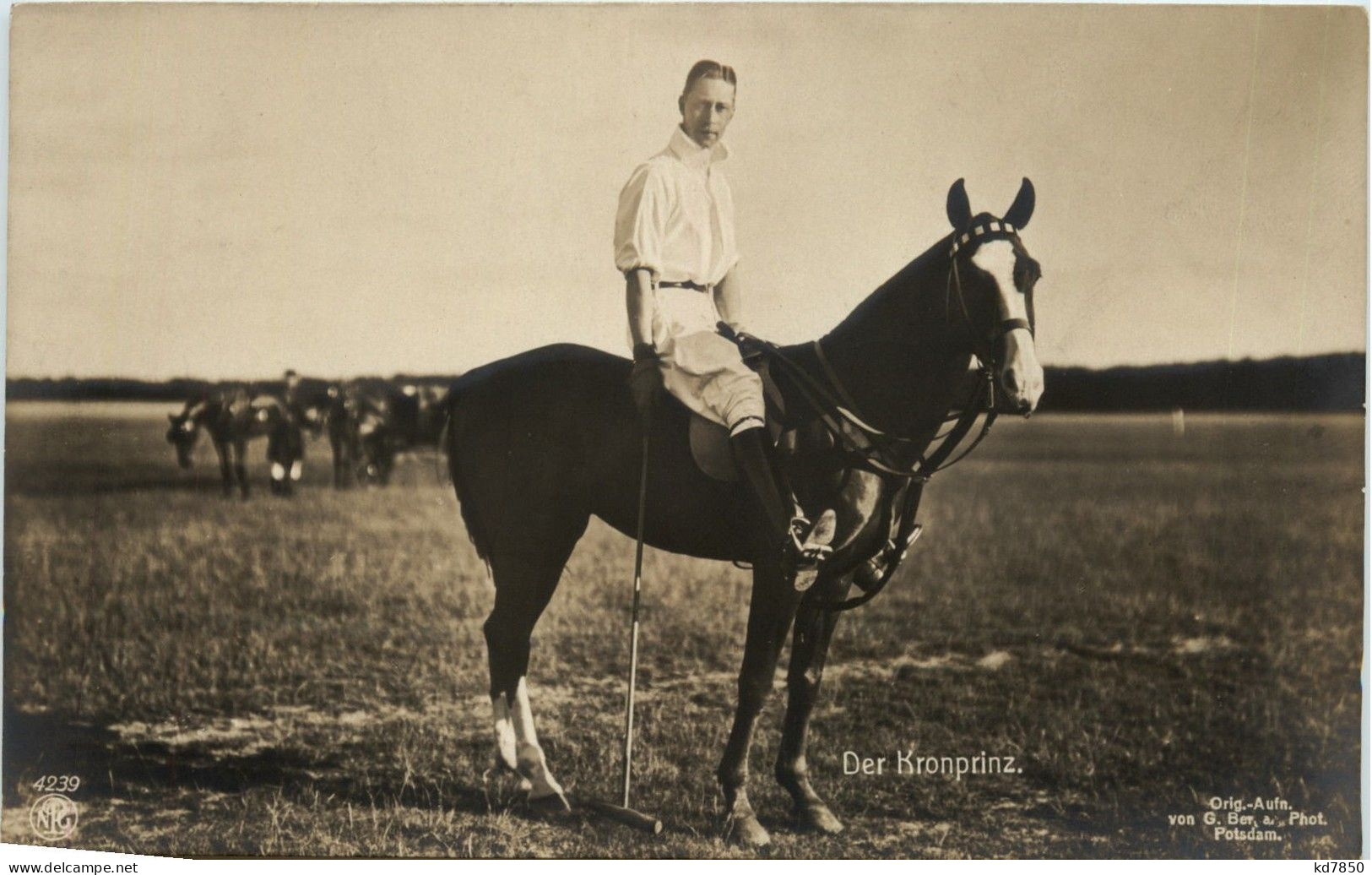 Unser Kronprinz Polo - Königshäuser