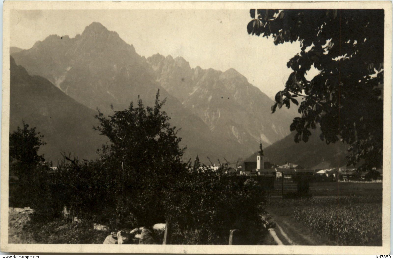 Der Spitzkofel Im Morgenlicht - Lienz