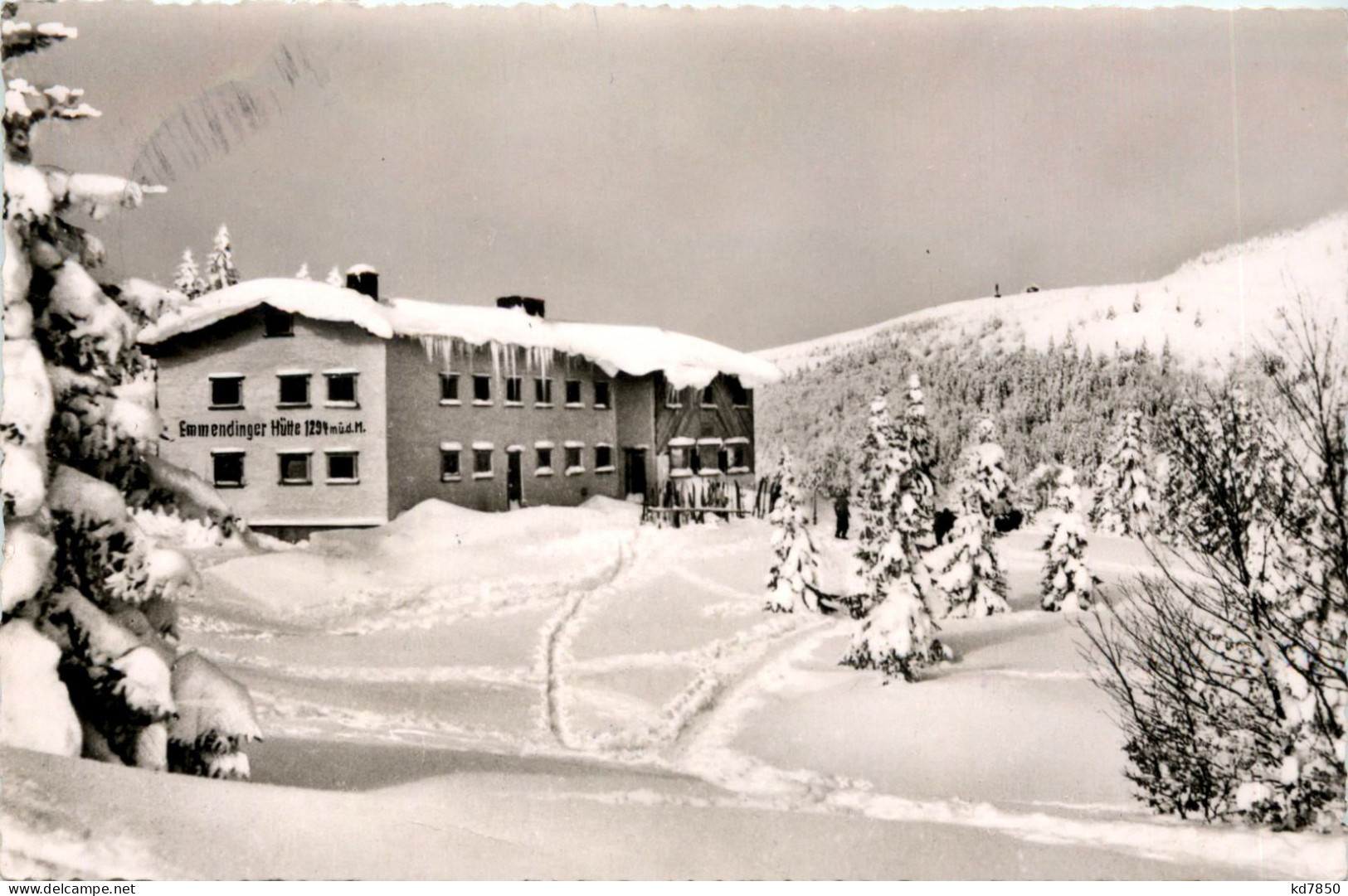 Feldberg - Emmendinger Hütte - Feldberg