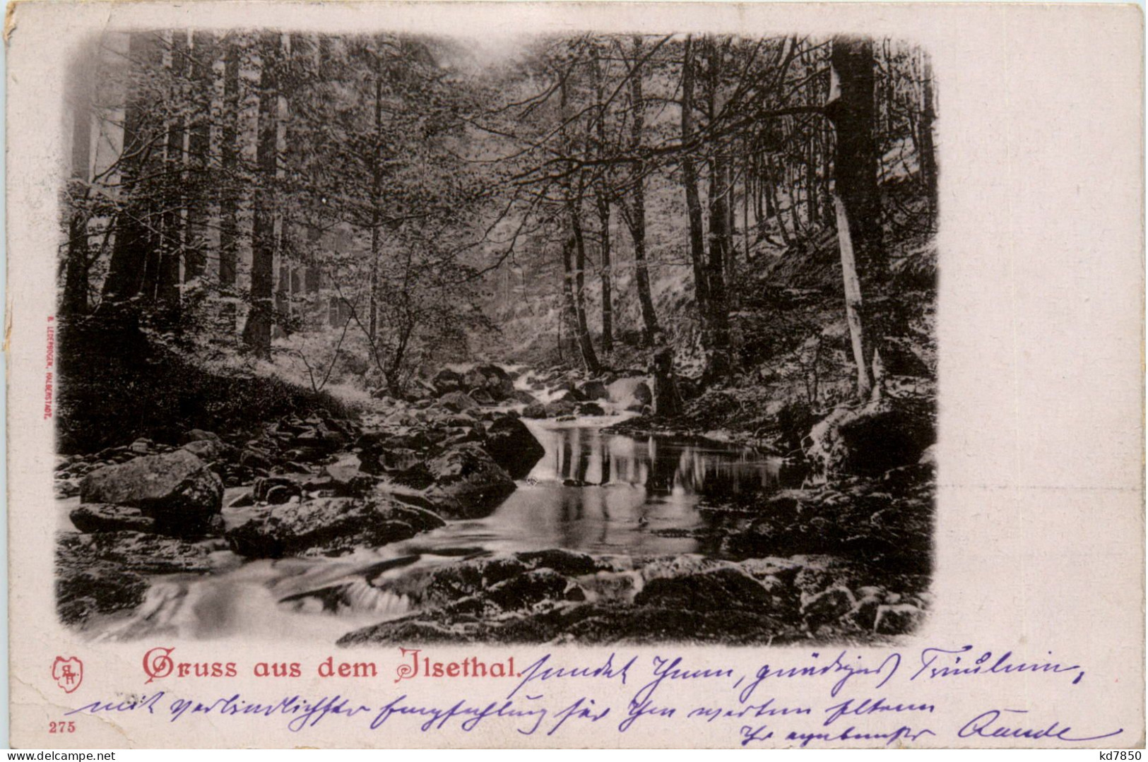 Gruss Aus Dem Ilsenthal - Ilsenburg