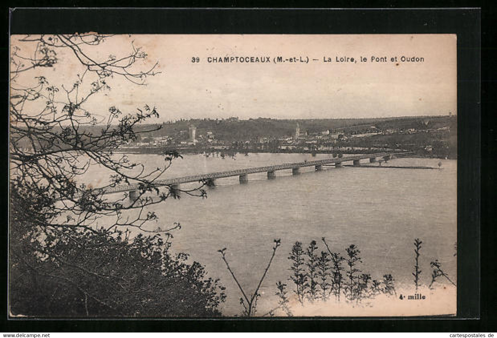CPA Champtoceaux, La Loire, Le Pont Et Oudon  - Champtoceaux