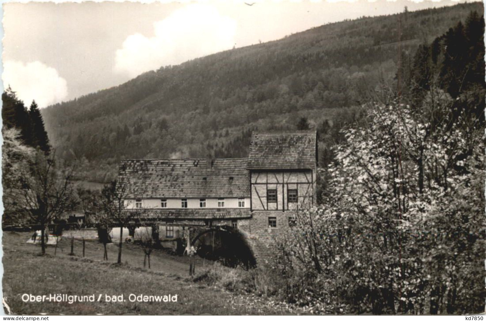 Ober-Höllgrund Odenwald - Mosbach