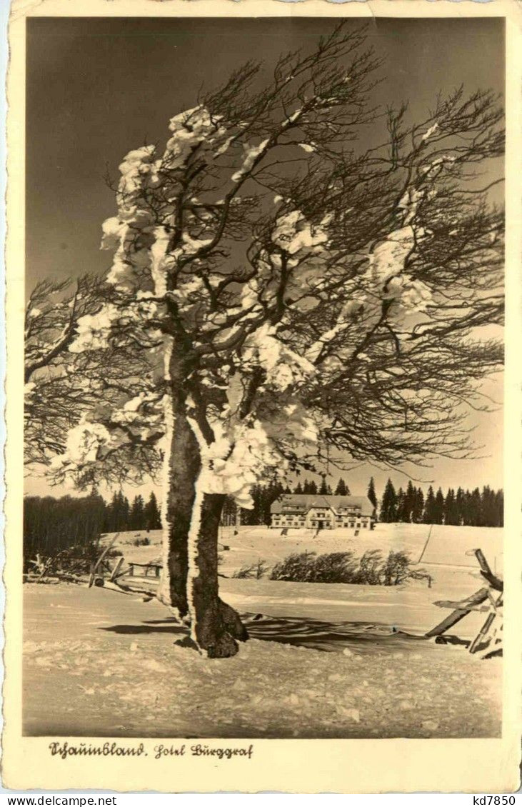 Ba-Wü/Schwarzwald/Breisgau/div. Orte Und Umgebung - Schauinsland, Hotel Burggraf, Kirchzarten - Kirchzarten