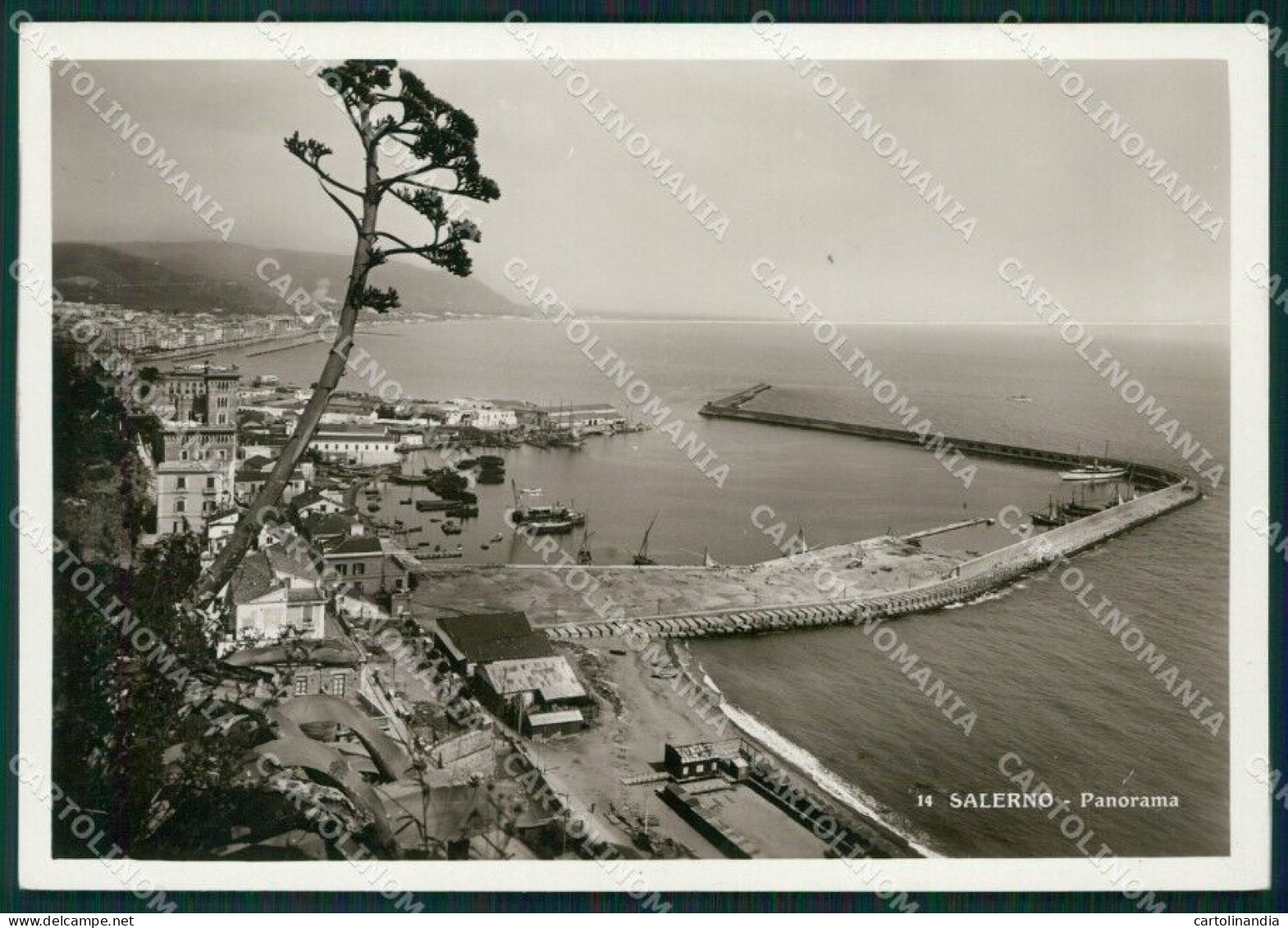 Salerno Città Foto FG Cartolina KB4262 - Salerno