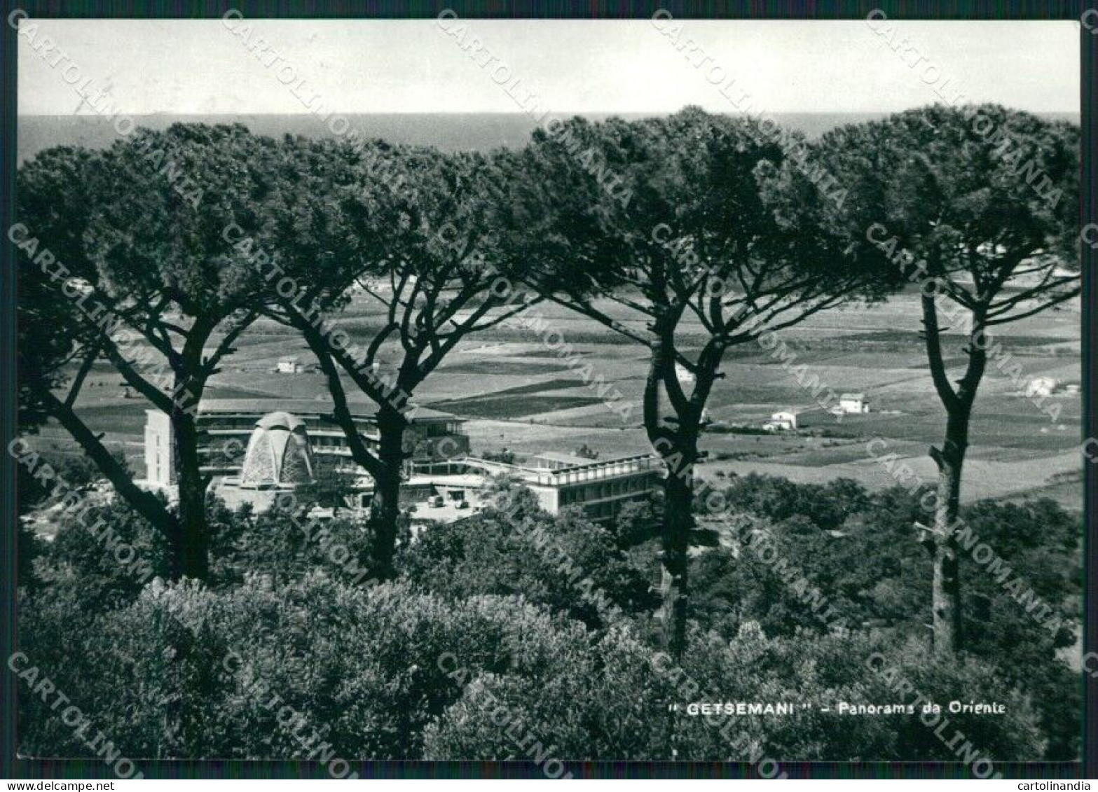 Salerno Capaccio Getsemani Foto FG Cartolina KB4269 - Salerno