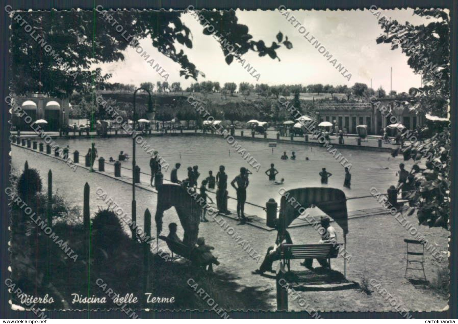 Viterbo Città STRAPPO Foto FG Cartolina ZF8669 - Viterbo