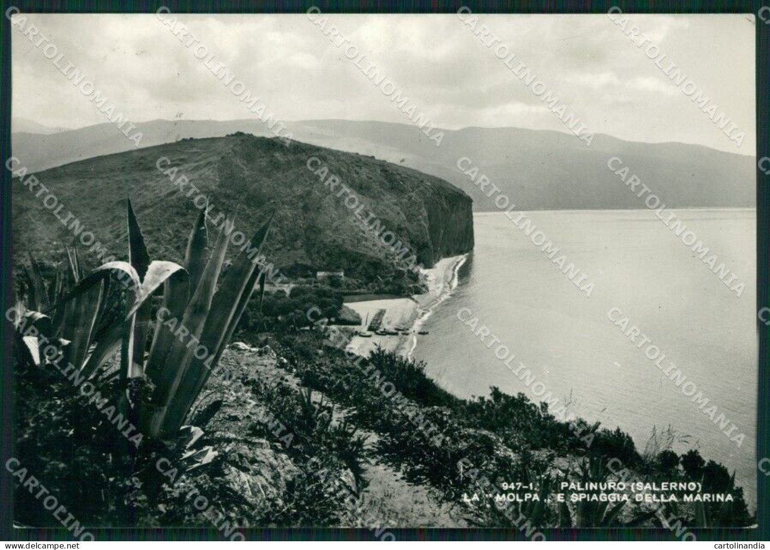 Salerno Palinuro Foto FG Cartolina KB4277 - Salerno