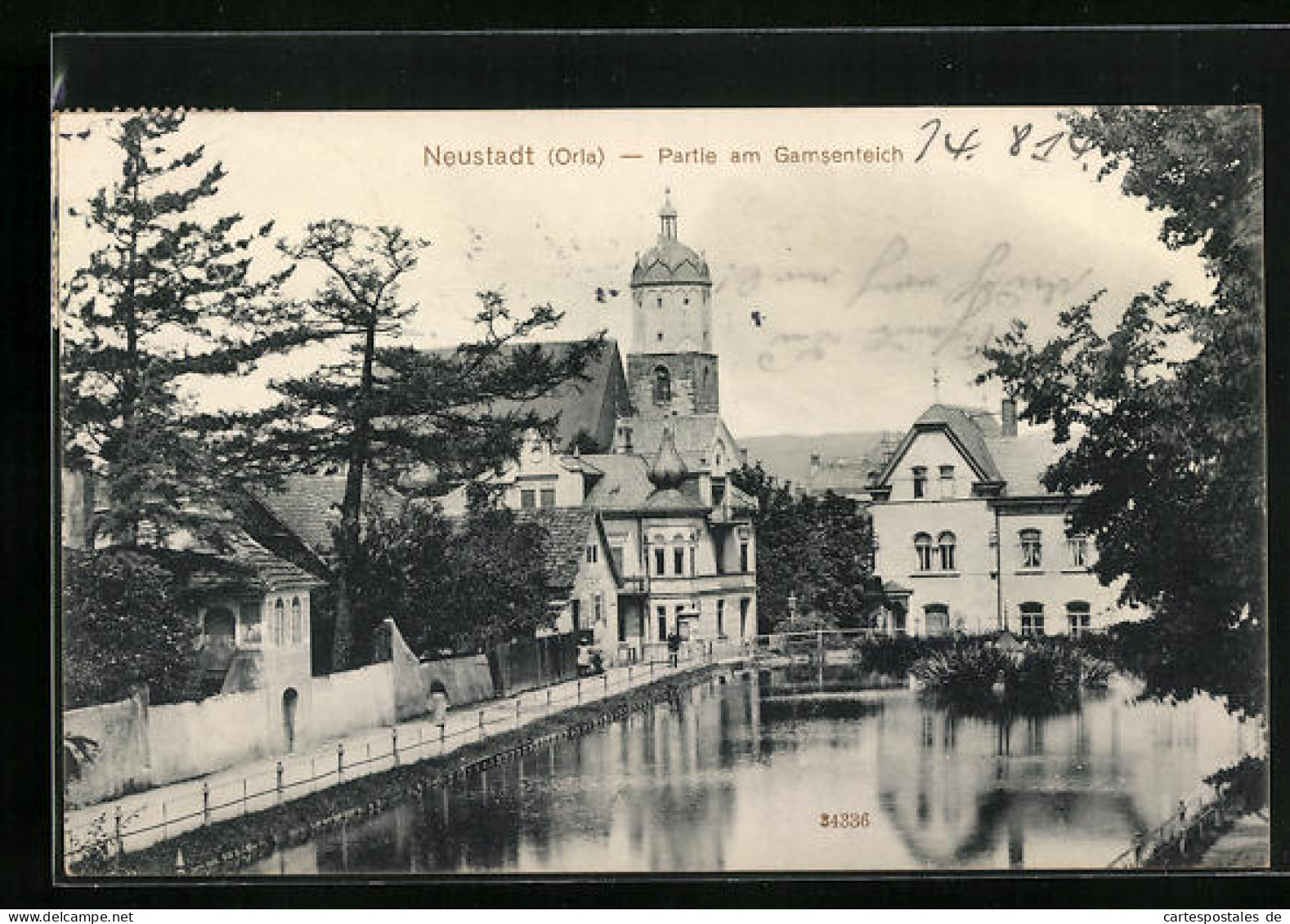 AK Neustadt (Orla), Partie Am Gamsenteich  - Neustadt / Orla