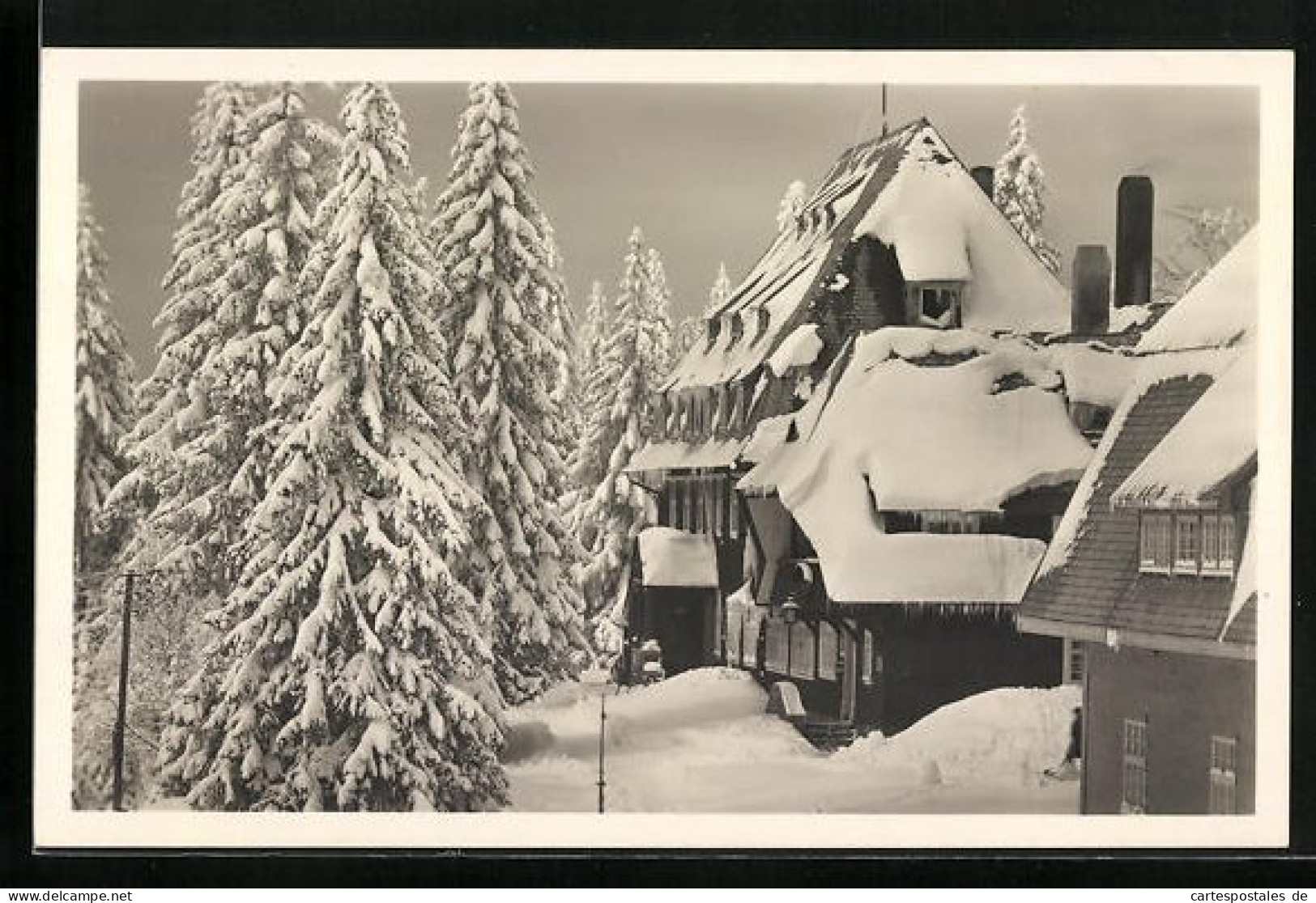 AK Feldberg /Schwarzw., Hotel Und Kurhaus Hebelhof Im Schnee  - Feldberg