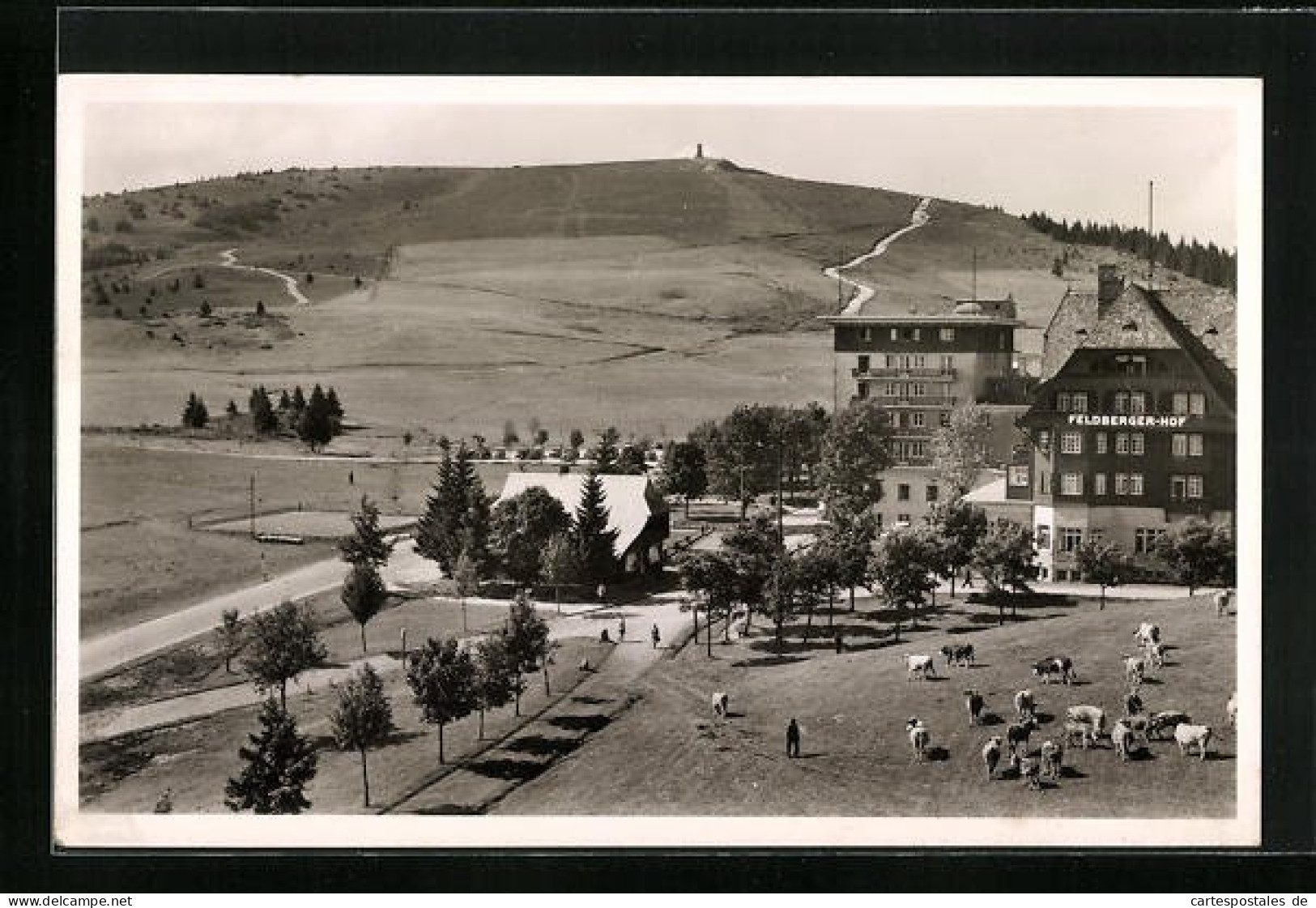 AK Feldberg /Schwarzw., Hotel Feldbergerhof Mit Kühen Aus Der Vogelschau  - Feldberg