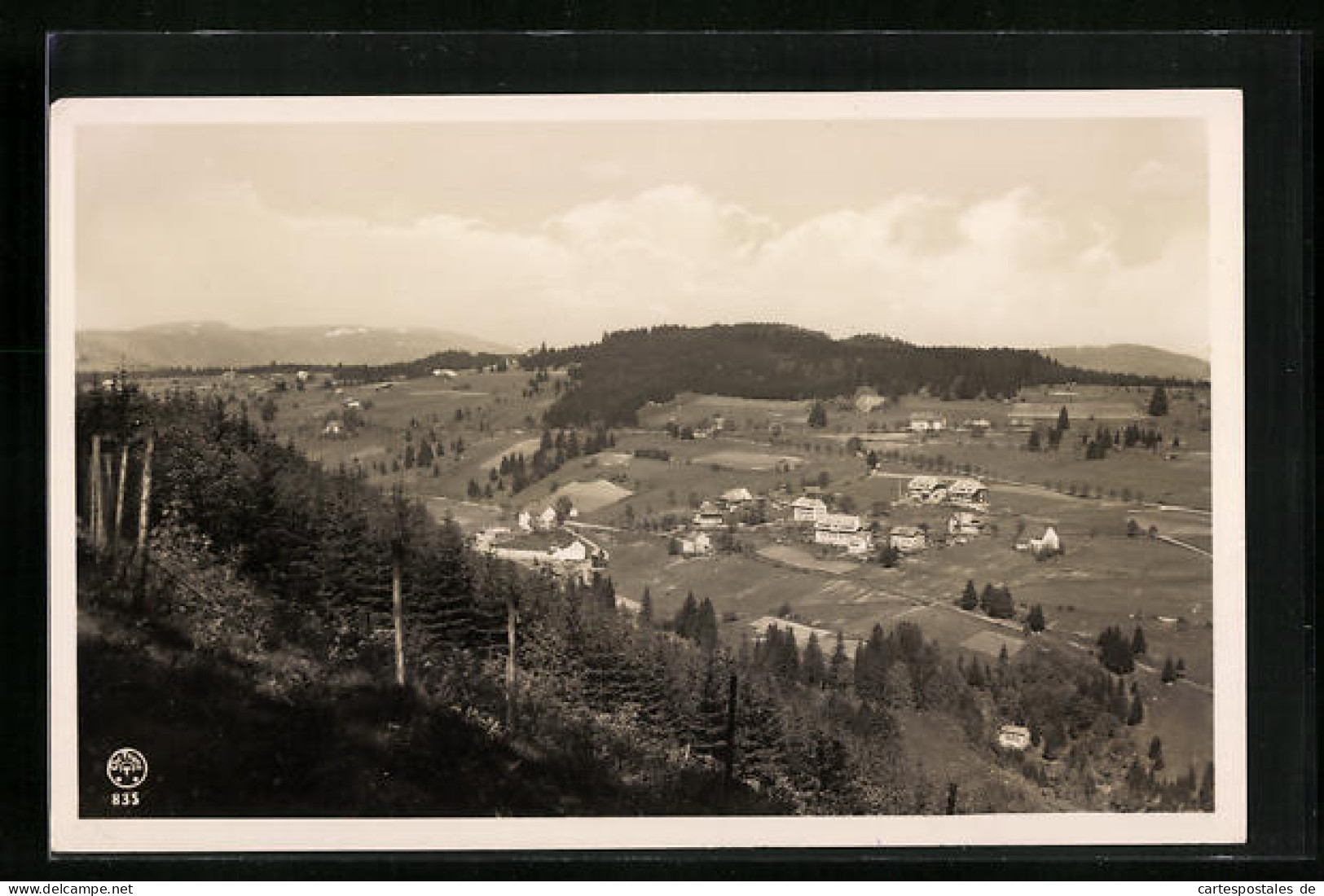 AK Falkau /Schwarzwald, Ortspartie Mit Dem Feldberg  - Feldberg