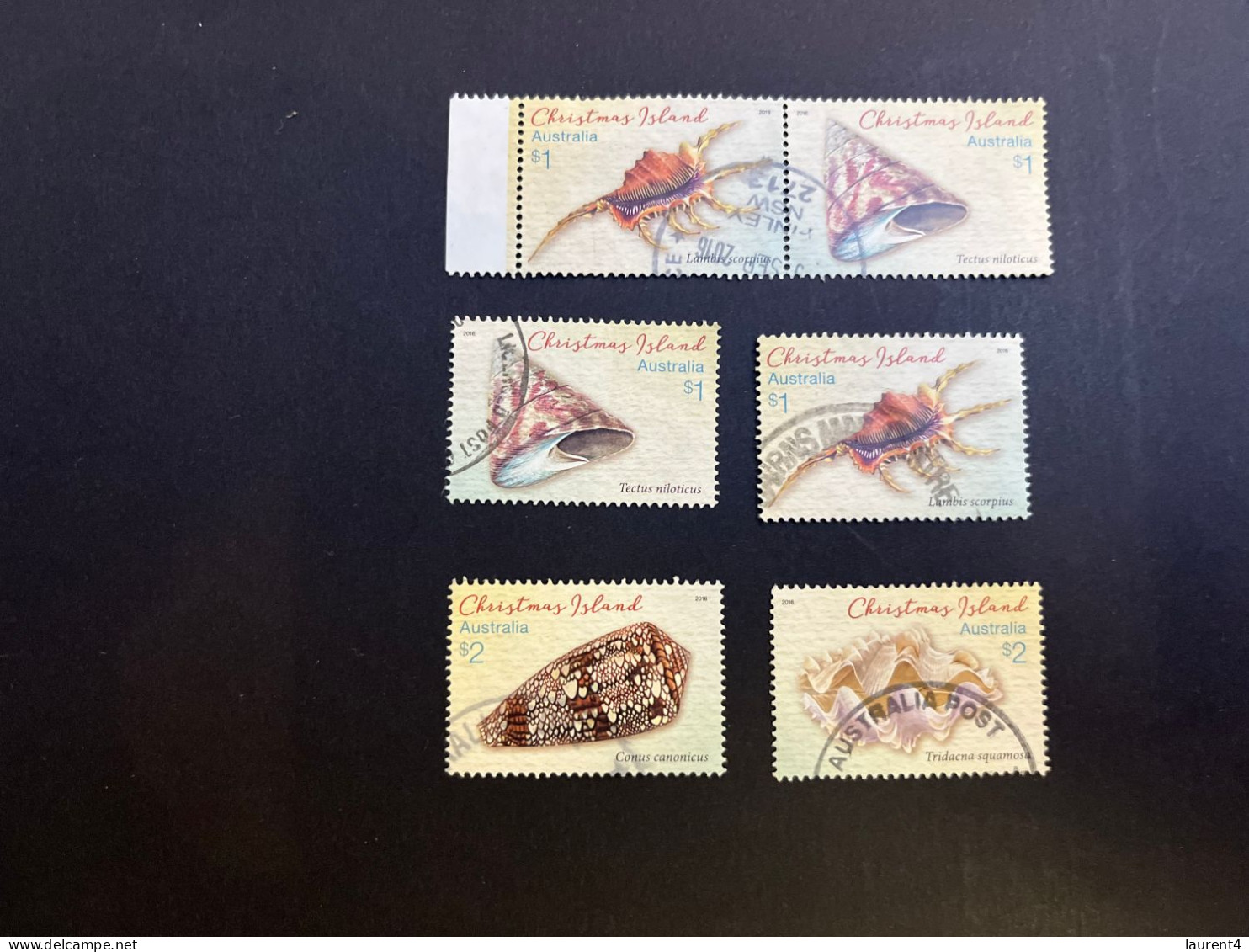 21-4-2024 (stamp) Australia Christmas Island (ued) 6 Shell Stamps / Coqillages - Christmas Island