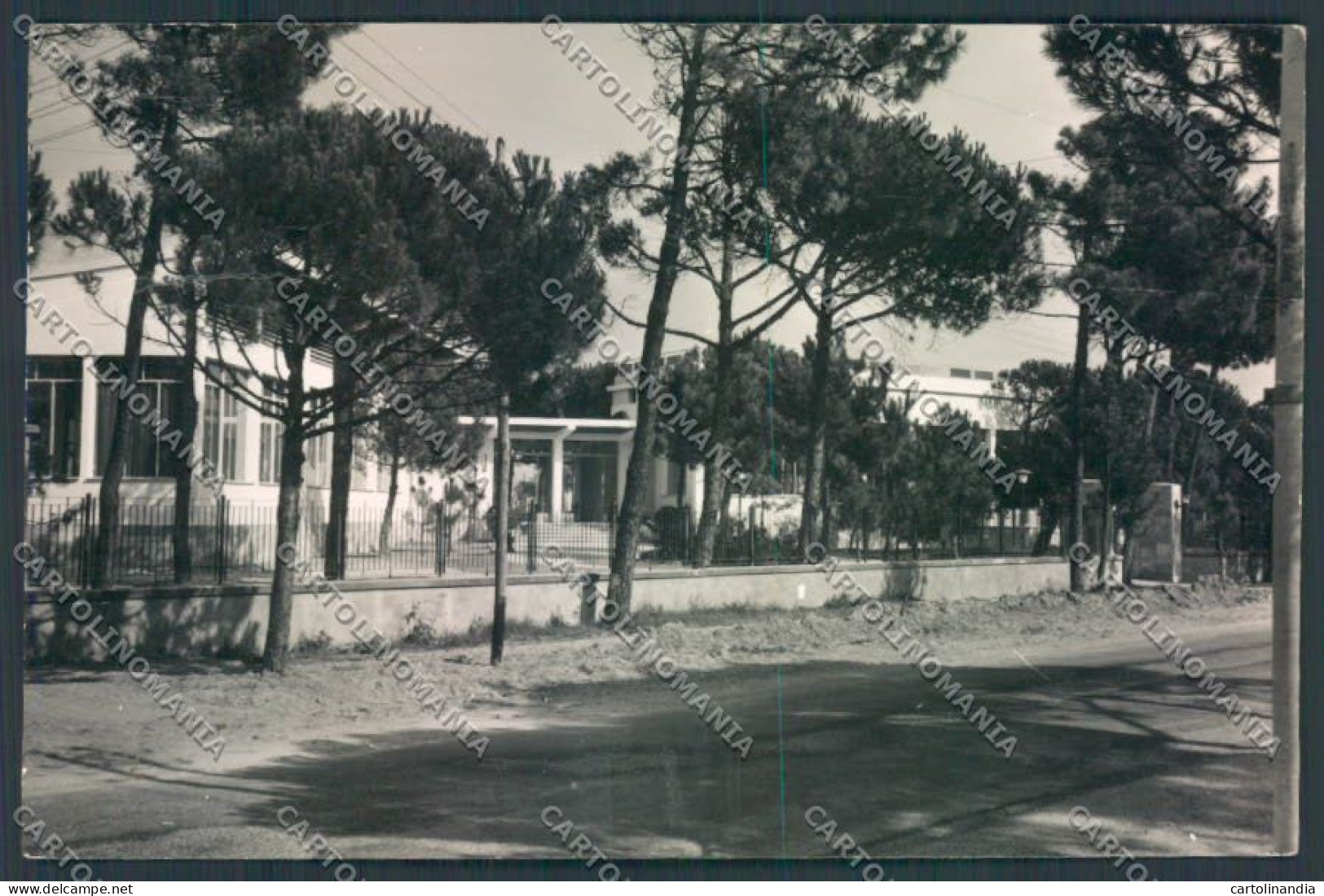 Ravenna Cervia Milano Marittima ABRASA Foto FG Cartolina ZF4839 - Ravenna